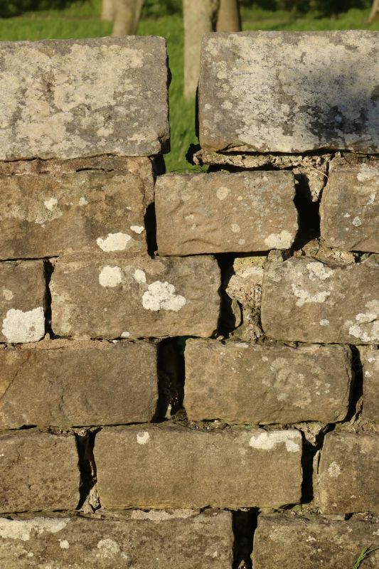Stone Wall Repair in Cromwell, IN